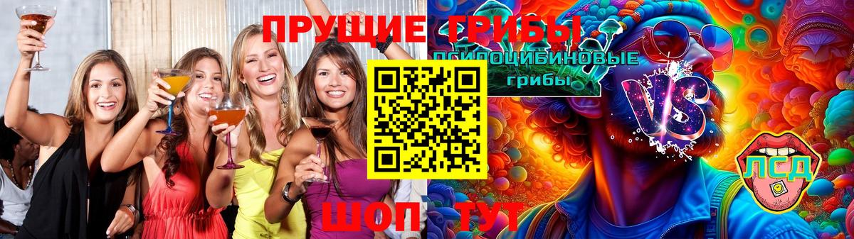Галлюциногенные грибы GOLDEN TEACHER Калининград
