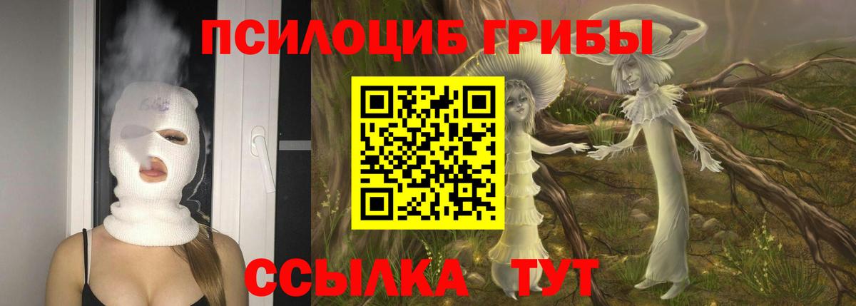 Калининград  сколько стоит  Вход с VPN  Галлюциногенные грибы Psilocybe 